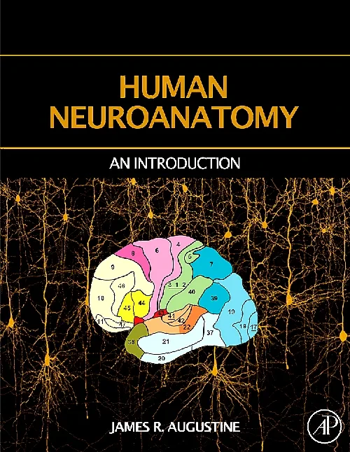 Coperta cărții "Human Neuroanatomy" de autor necunoscut