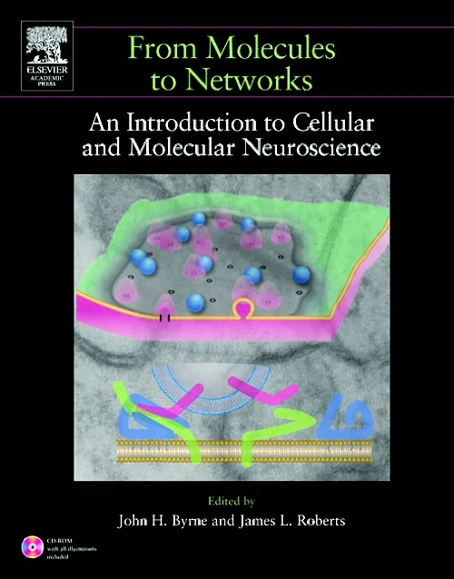 Coperta cărții "From Molecules to Networks" de autor necunoscut