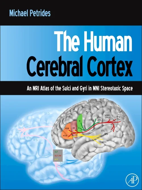 Coperta cărții "The Human Cerebral Cortex" de autor necunoscut