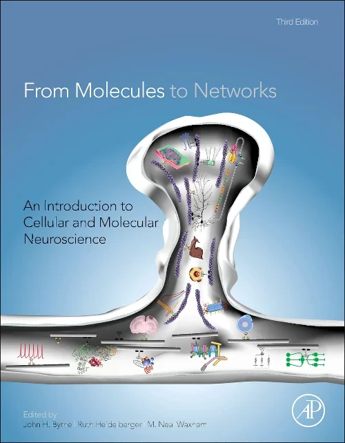 Coperta cărții "From Molecules to Networks" de autor necunoscut