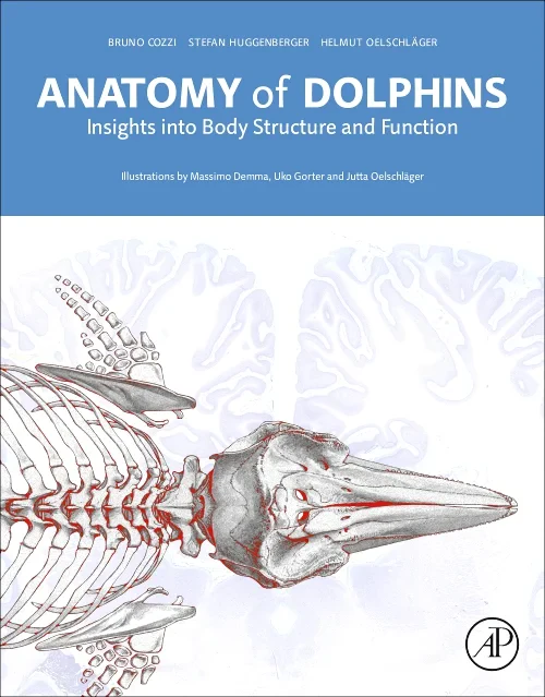 Coperta cărții "Anatomy of Dolphins" de autor necunoscut