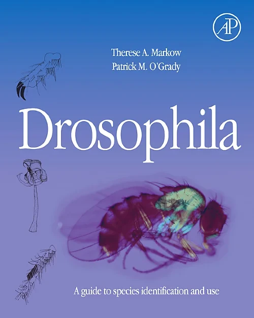 Coperta cărții "Drosophila" de autor necunoscut