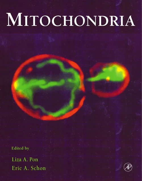 Coperta cărții "Mitochondria" de autor necunoscut