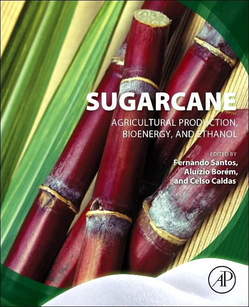 Coperta cărții "Sugarcane" de autor necunoscut