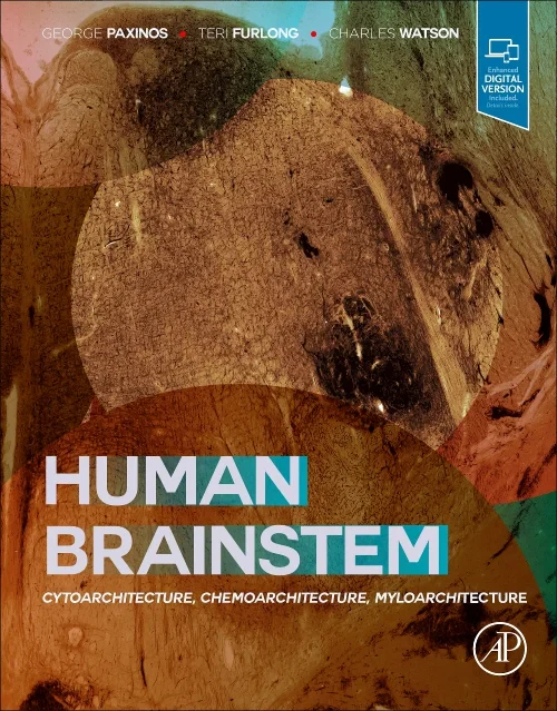 Coperta cărții "Human Brainstem" de autor necunoscut