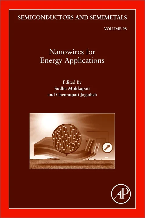 Coperta cărții "Nanowires for Energy Applications" de autor necunoscut