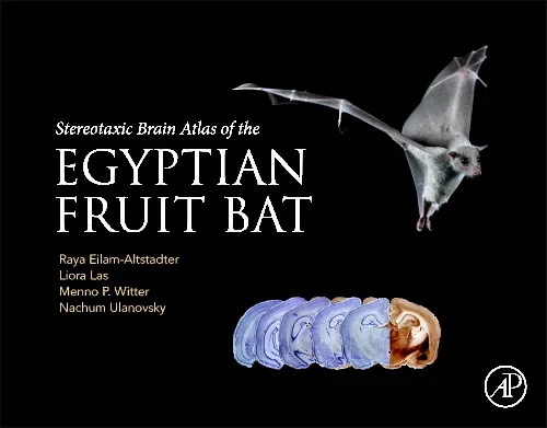 Coperta cărții "Stereotaxic Brain Atlas of the Egyptian Fruit Bat" de autor necunoscut
