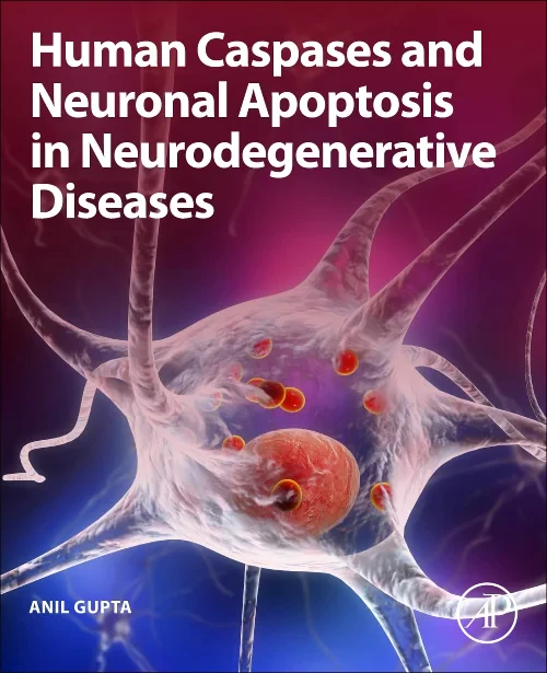 Coperta cărții "Human Caspases and Neuronal Apoptosis in Neurodegenerative Diseases" de autor necunoscut