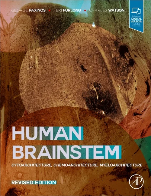 Coperta cărții "Human Brainstem" de autor necunoscut
