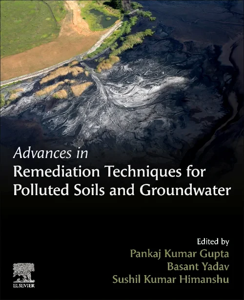 Coperta cărții "Advances in Remediation Techniques for Polluted Soils and Groundwater" de autor necunoscut