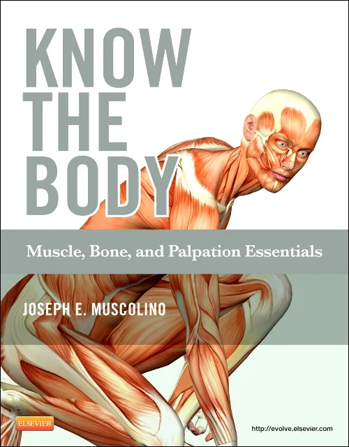 Coperta cărții "Know the Body: Muscle, Bone, and Palpation Essentials" de autor necunoscut