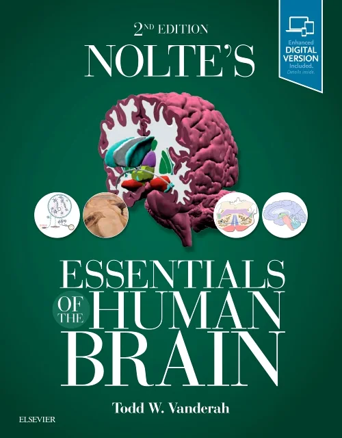 Coperta cărții "Nolte&#039;s Essentials of the Human Brain" de autor necunoscut