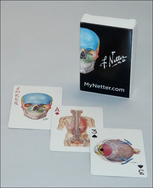 Coperta cărții "Netter Playing Cards" de autor necunoscut