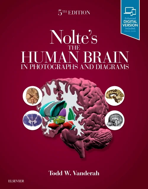 Coperta cărții "Nolte&#039;s The Human Brain in Photographs and Diagrams" de autor necunoscut
