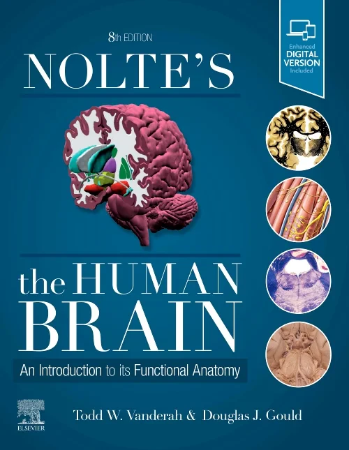 Coperta cărții "Nolte&#039;s The Human Brain" de autor necunoscut