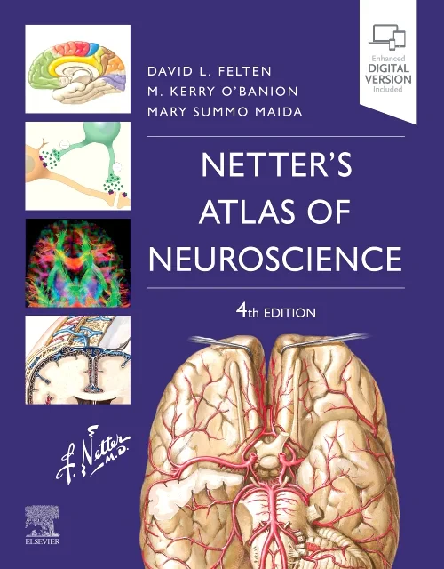 Coperta cărții "Netter&#039;s Atlas of Neuroscience" de autor necunoscut