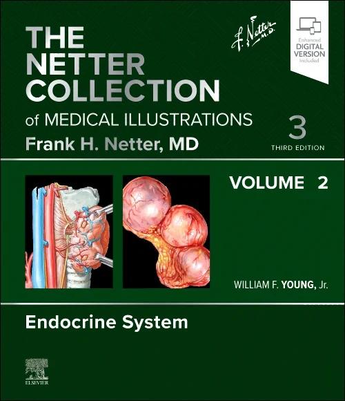 Coperta cărții "The Netter Collection of Medical Illustrations: Endocrine System, Volume 2" de autor necunoscut