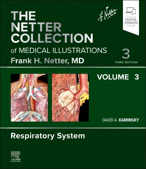 Coperta cărții "The Netter Collection of Medical Illustrations: Respiratory System, Volume 3" de autor necunoscut