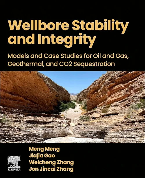 Coperta cărții "Wellbore Stability and Integrity" de autor necunoscut