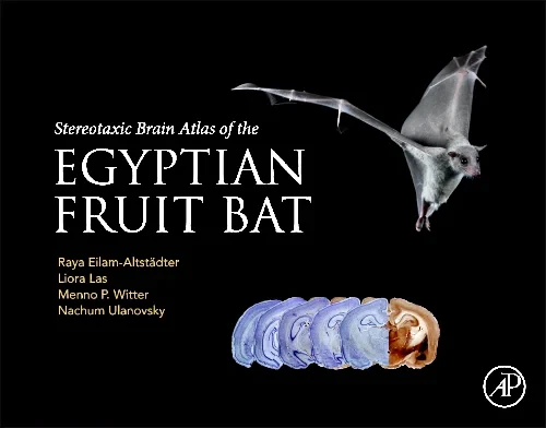 Coperta cărții "Stereotaxic Brain Atlas of the Egyptian Fruit Bat" de autor necunoscut