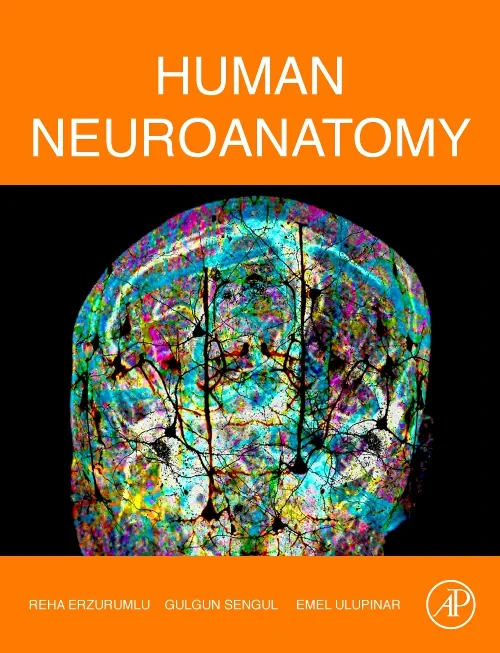 Coperta cărții "Human Neuroanatomy" de autor necunoscut