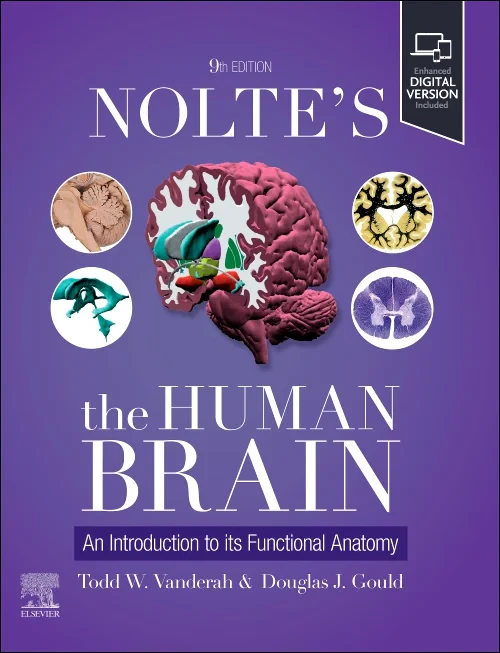 Coperta cărții "Nolte&#039;s The Human Brain" de autor necunoscut
