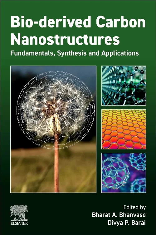 Coperta cărții "Bio-derived Carbon Nanostructures" de autor necunoscut