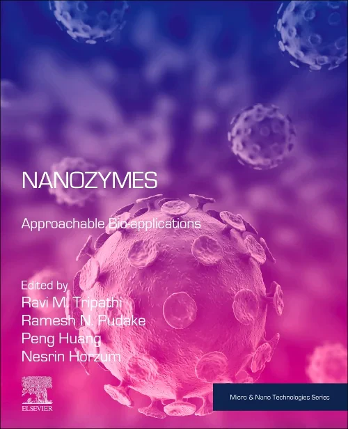 Coperta cărții "Nanozymes" de autor necunoscut