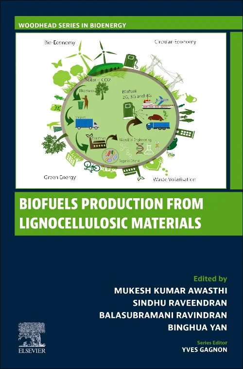 Coperta cărții "Biofuels Production from Lignocellulosic Materials" de autor necunoscut