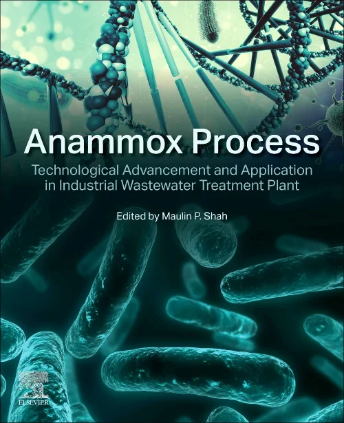 Coperta cărții "Anammox Process" de autor necunoscut