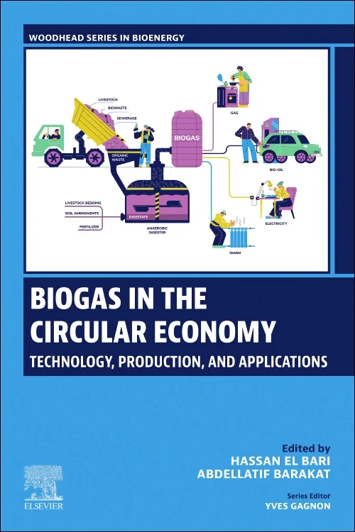 Coperta cărții "Biogas in the Circular Economy" de autor necunoscut