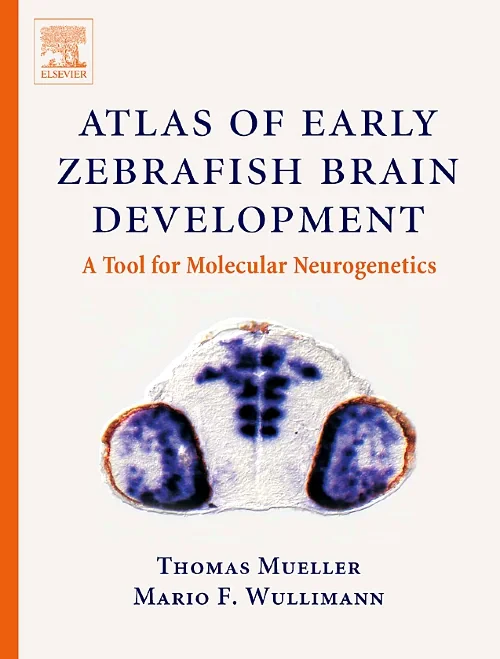 Coperta cărții "Atlas of Early Zebrafish Brain Development" de autor necunoscut