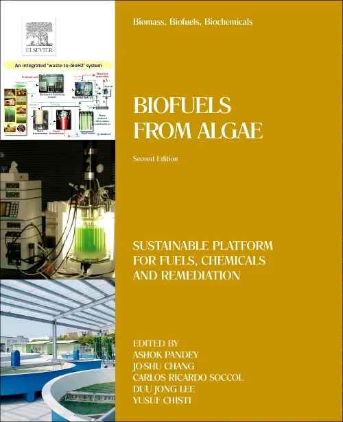 Coperta cărții "Biomass, Biofuels, Biochemicals" de autor necunoscut