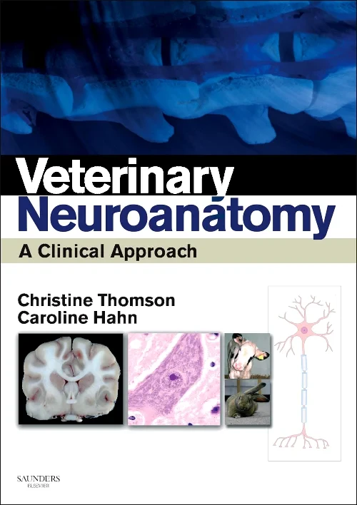 Coperta cărții "Veterinary Neuroanatomy" de autor necunoscut