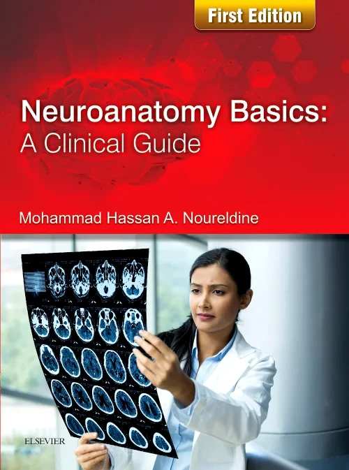Coperta cărții "Neuroanatomy Basics: A Clinical Guide" de autor necunoscut