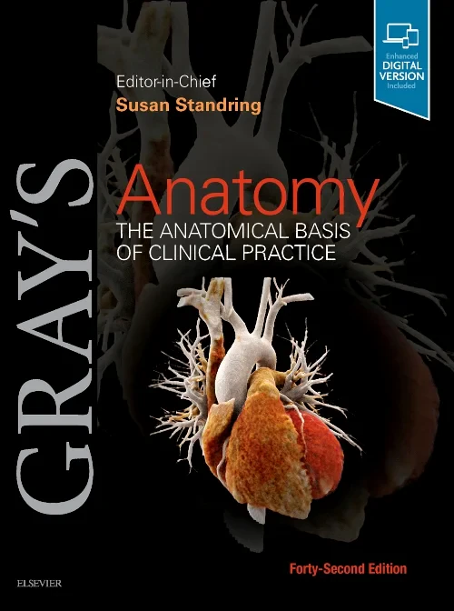 Coperta cărții "Gray&#039;s Anatomy" de autor necunoscut