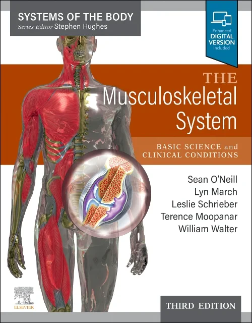Coperta cărții "The Musculoskeletal System" de autor necunoscut