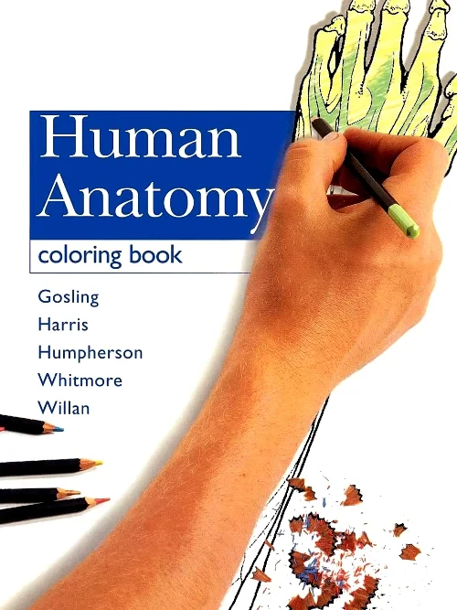 Coperta cărții "Human Anatomy Coloring Book" de autor necunoscut