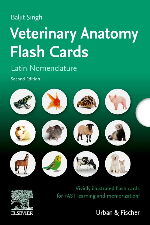 Coperta cărții "Lernkarten Veterinäranatomie / Veterinary Anatomy Flash Cards" de autor necunoscut