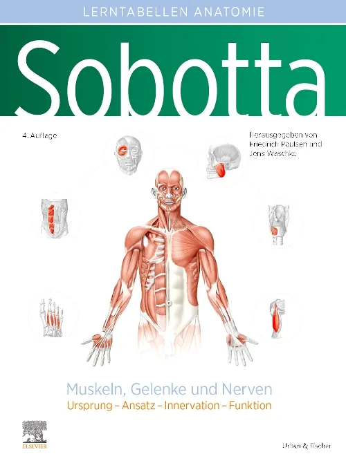 Coperta cărții "Sobotta Lerntabellen Anatomie Muskeln, Gelenke und Nerven" de autor necunoscut
